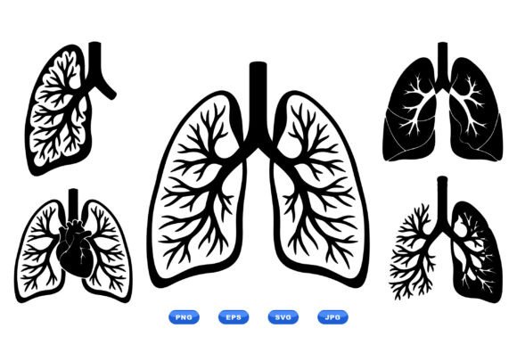 Anatomical Lung Vector Clipart for Crafts and Graphics