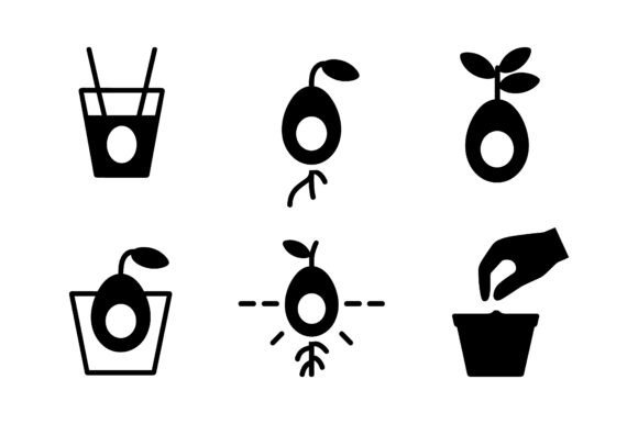 Avocado Plant Growing Stages Icons EPS: A Must-Have Graphic Design Asset for Crafts and Branding